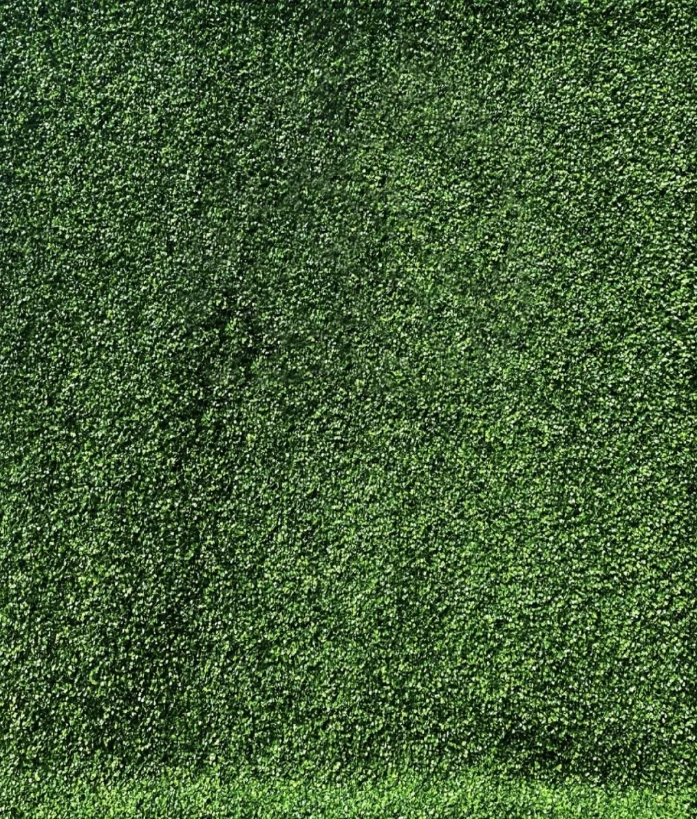 Clutch City Photo Booth boxwood greenery wall backdrop for Houston events